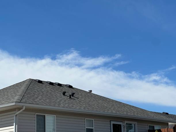 Asphalt Shingles Roofing in Wendell, ID